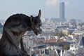 Gargoyles Notre Dame cathedral of Paris