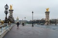 Paris, France - 20.01.2019: Historic bridge Pont Alexandre III over the Seine Royalty Free Stock Photo