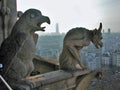 Paris - Gargoyle of Notre Dame Royalty Free Stock Photo