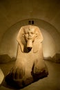 Paris, France - January 22, 2019: The Great Sphinx of Tanis is a granite sculpture of a sphinx Royalty Free Stock Photo