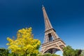 Eiffel Tower from the Champ de Mars gardens in summer. Royalty Free Stock Photo