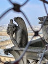 Chimera and gargoyle stone statues on the tower of Notre Dame