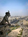 Gargoyle and chimera in aerial cityscape from Notre Dame cathedral