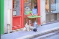 Paris, France. 30 March, 2018. Two beautiful dogs waiting for their owner in front of the cheese market