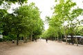 Paris. Alley with Trees in Luxembourg Palace Gardens in Paris, France Royalty Free Stock Photo