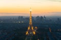 PARIS, FRANCE - May 5, 2016: Beautiful Paris skyline view Eiffel