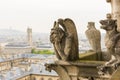 Gargoyle on Notre Dame de Paris Cathedral of Paris Royalty Free Stock Photo