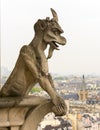 Gargoyle on Notre Dame de Paris Cathedral of Paris Royalty Free Stock Photo