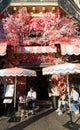 The traditional French cafe Favorite decorated with flowers . It located at famous Rivoli street in Paris, France. Royalty Free Stock Photo