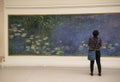 Paris, France, Musee de l`Orangerie, NymphÃÂ©as, Claude Monet, museum, Water Lilies, impressionism, impressionist, painting