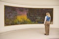 Paris, France, Musee de l`Orangerie, NymphÃÂ©as, Claude Monet, museum, Water Lilies, impressionism, impressionist, painting Royalty Free Stock Photo