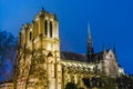 Cathedral Notre Dame de Paris at night Royalty Free Stock Photo