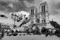 Paris, France, Notre Dame Cathedral, October 26, 2017 Front view of the Cathedral in black and white