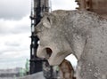 Gargoyles or Chimeras at the Gallery of Chimere. Notre-Dame Cathedral. Paris, France. Royalty Free Stock Photo