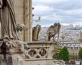 Gargoyles or Chimeras at the Gallery of Chimere. Notre-Dame Cathedral. Paris, France. Royalty Free Stock Photo