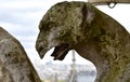 Gargoyles or Chimeras at the Gallery of Chimere. Notre-Dame Cathedral. Paris, France.