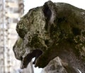 Gargoyles or Chimeras at the Gallery of Chimere. Notre-Dame Cathedral. Paris, France.