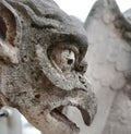 Gargoyles or Chimeras at the Gallery of Chimere. Notre-Dame Cathedral. Paris, France. Royalty Free Stock Photo