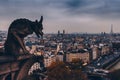 Paris, France - Nov 28, 2013:  Aerial view of Paris City from the top of Notre Dame Cathedral with stone demon gargoyle Royalty Free Stock Photo