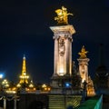 Alexander III bridge in Paris at night Royalty Free Stock Photo