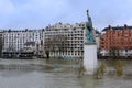 The Seine in Paris in flood