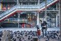 PARIS - January 4, 2016: Unidentified elderly man feeding pigeon Royalty Free Stock Photo