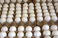 Paris market eggs
