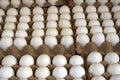 Paris market eggs Royalty Free Stock Photo