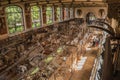 Backbone skeleton of marine mammals in the Gallery of Paleontology and Comparative Anatomy at Paris.