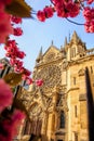 Paris, Notre Dame cathedral with blossomed tree in France