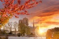 Paris, Notre Dame cathedral with blossomed treeagainst colorful sunrise in France