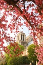 Paris, Notre Dame cathedral in spring time Royalty Free Stock Photo