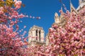 Paris, Notre Dame cathedral with spring trees in France Royalty Free Stock Photo