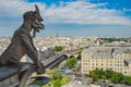 Paris overview from the top of Notre Dame Royalty Free Stock Photo