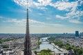 Paris overview from the top of Notre Dame Royalty Free Stock Photo
