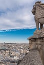 Paris, panorama Royalty Free Stock Photo