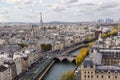 Paris seen from the top of Notre Dame