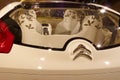 Paris , seine / France - 11 19 2016 : Cactus concept car of French car manufacturer Citroen rear detail