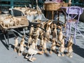 Paris shop detail: Wooden ducks and pigs displayed on sidewalk