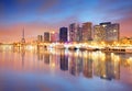 Paris skyline with Eiffel tower in background Royalty Free Stock Photo