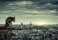 Paris skyline at sunset, France Royalty Free Stock Photo