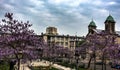 Paris spring bloom HDR Royalty Free Stock Photo