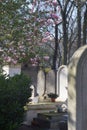 Paris springtime light and nature symbiosis on beautiful old graveyard