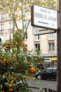 Paris street signs, citrus trees Royalty Free Stock Photo