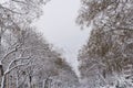 Paris under the snow Royalty Free Stock Photo