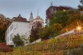 Paris. Vineyard on the Montmartre hill. Royalty Free Stock Photo