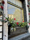 Paris wine shop window surrounded by red roses