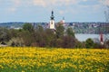 Parish church in Attersee am Attersee with dandelion field in spring, Austria, Europe