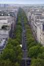 Parisian Avenue