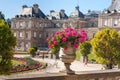 The Parisian citylandscape - view of the Luxembourg Palace through flowerpot with flowers